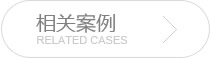某某網絡企業(yè)網站(zhàn)建設案例